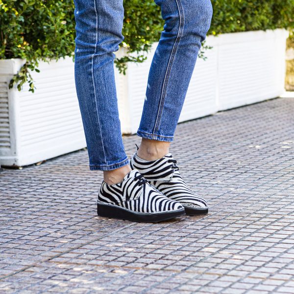 Derby Zebra