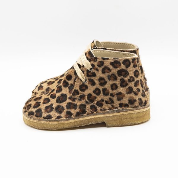 Polacchino coccinella