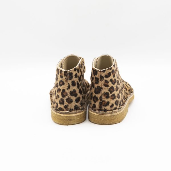 Polacchino coccinella