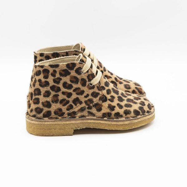 Polacchino coccinella