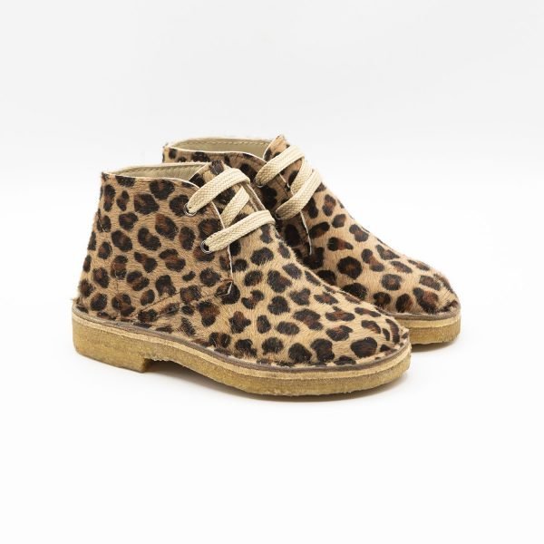 Polacchino coccinella