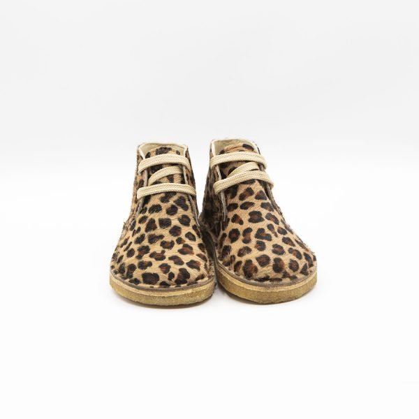 Polacchino coccinella